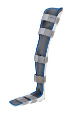 Long Leg